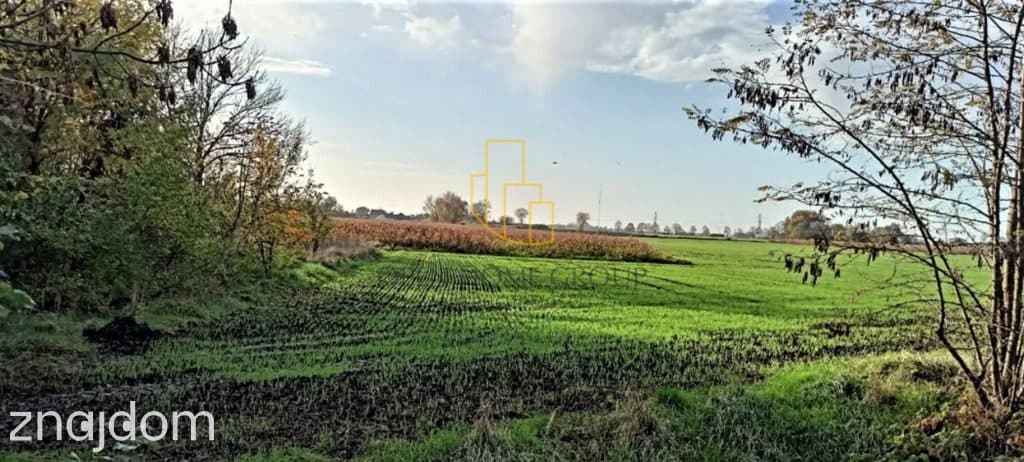 Mnichowice, działka budowlana 1273 m2 - zdjęcie 4
