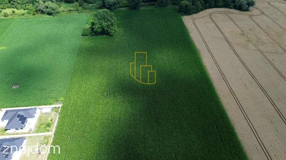 Szukalice, Żórawina, działka inwestycyjna 43,10 ha - zdjęcie 4