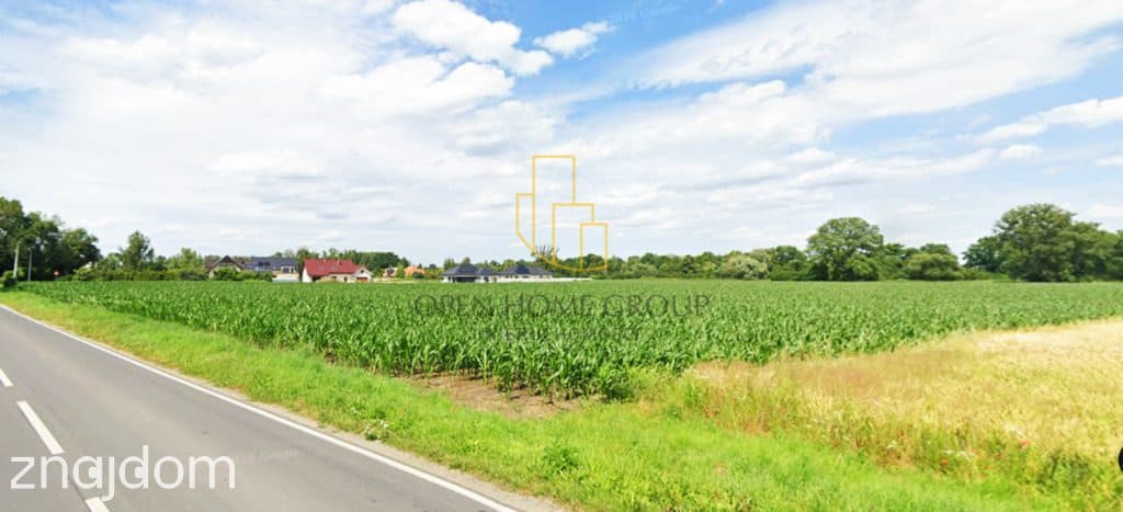 Szukalice, Żórawina, działka inwestycyjna 43,10 ha - zdjęcie 7