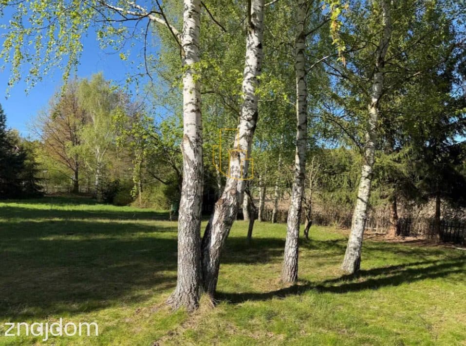 Sulistrowiczki, działka rekreacyjna 1113 m2 i 998 m2 - zdjęcie 7