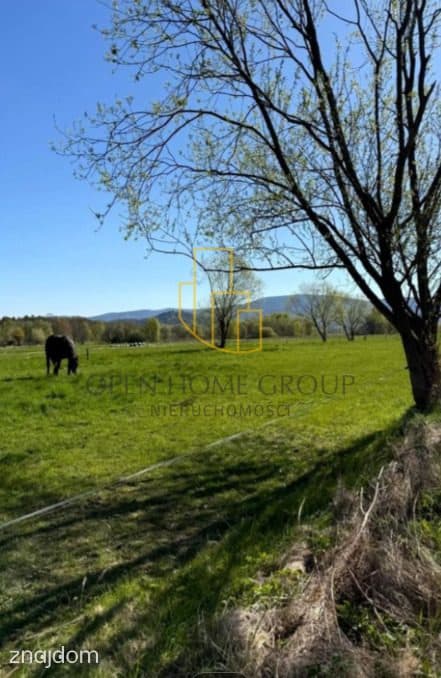 Ściegny gm. Podgórzyn, działki budowlane ok. 1098 m2 - zdjęcie 7