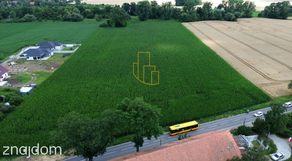 Szukalice, Żórawina, działka inwestycyjna 43,10 ha - zdjęcie 2