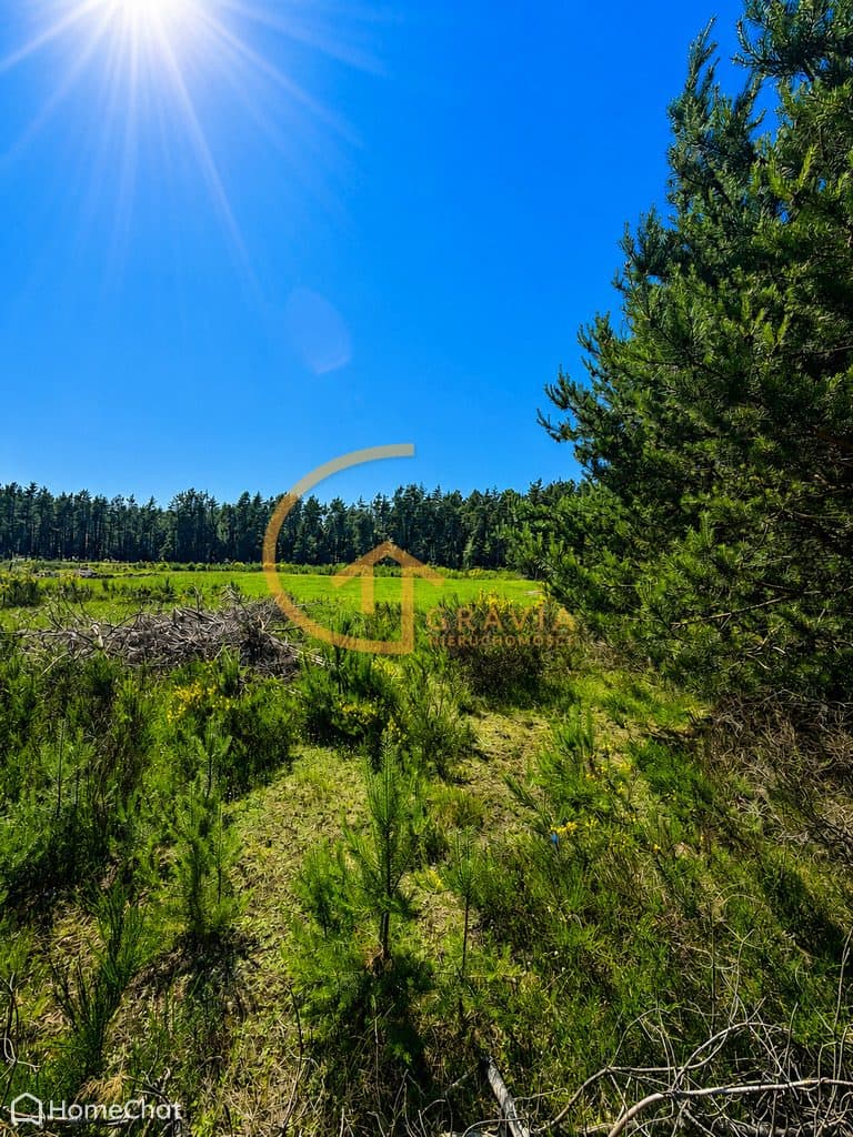 Budowlana działka z lasem - Nowy Dwór Wejherowski