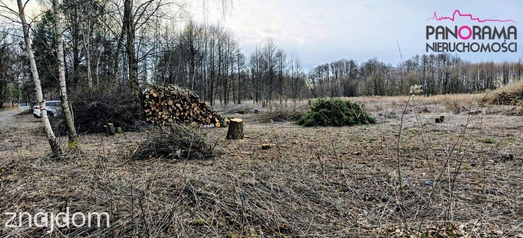 Działka Nowa Wieś - zdjęcie 3