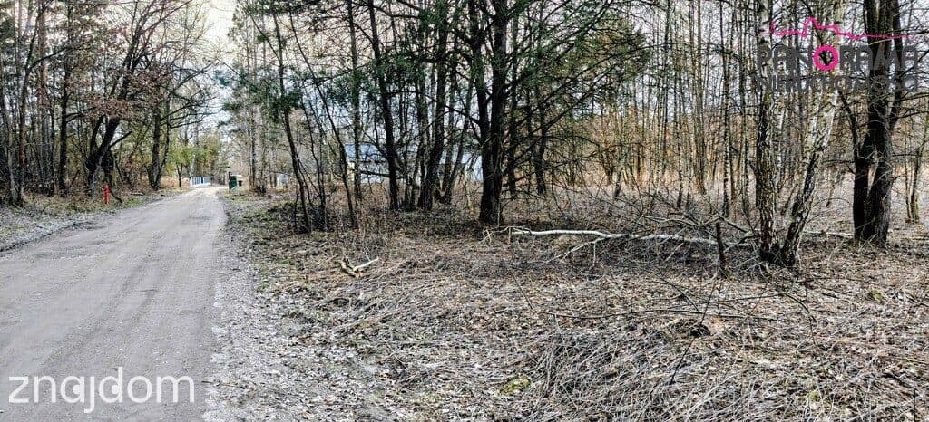 Działka Nowa Wieś - zdjęcie 6