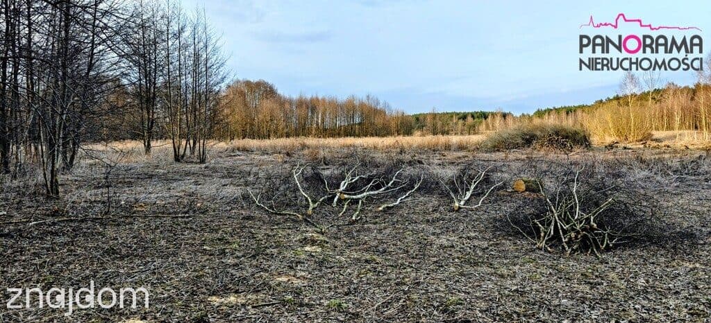 Działka Nowa Wieś - zdjęcie 2