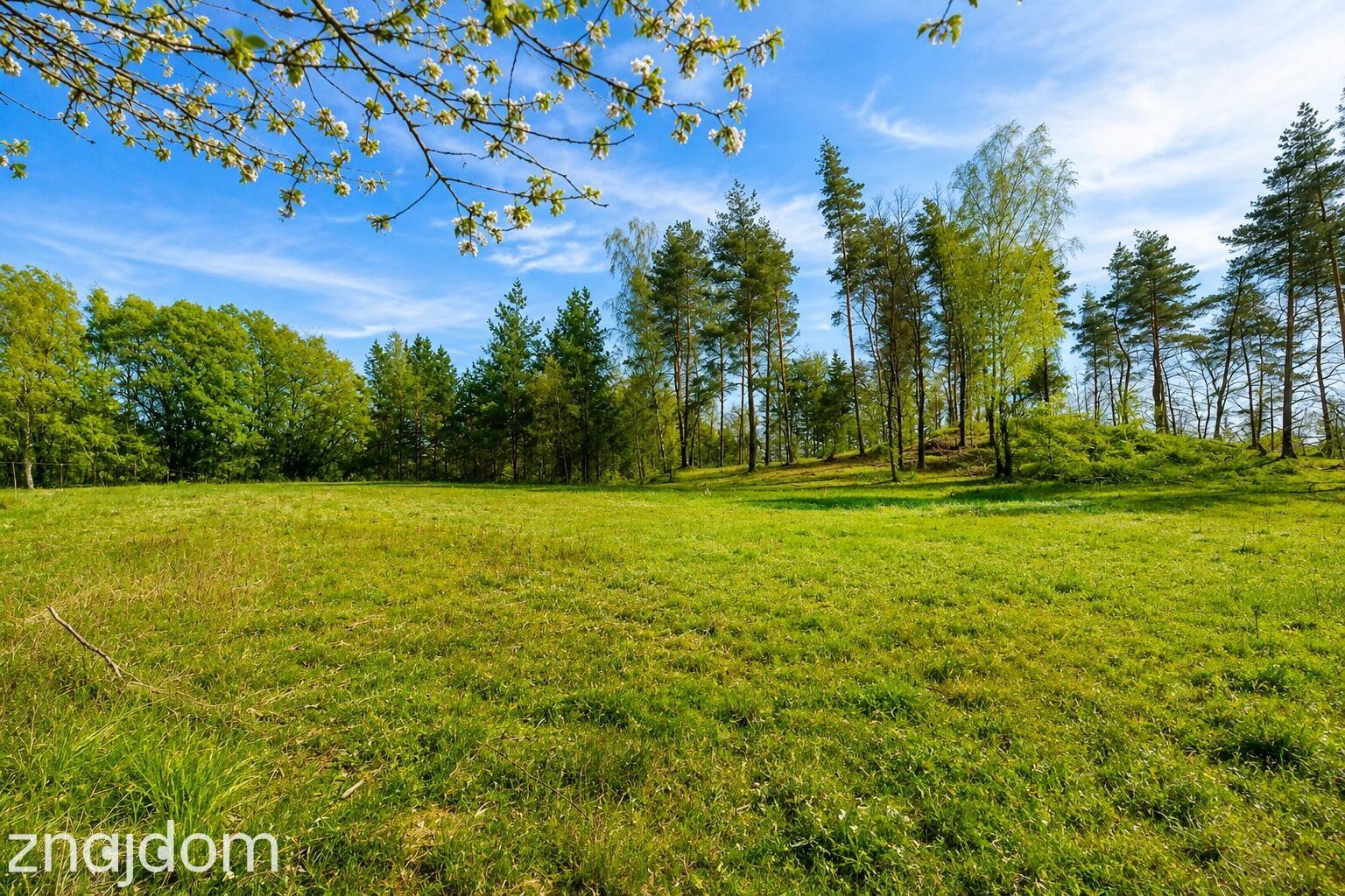 Działka 1700 m² | WZ na 2 Domy | Natura | Potencjał