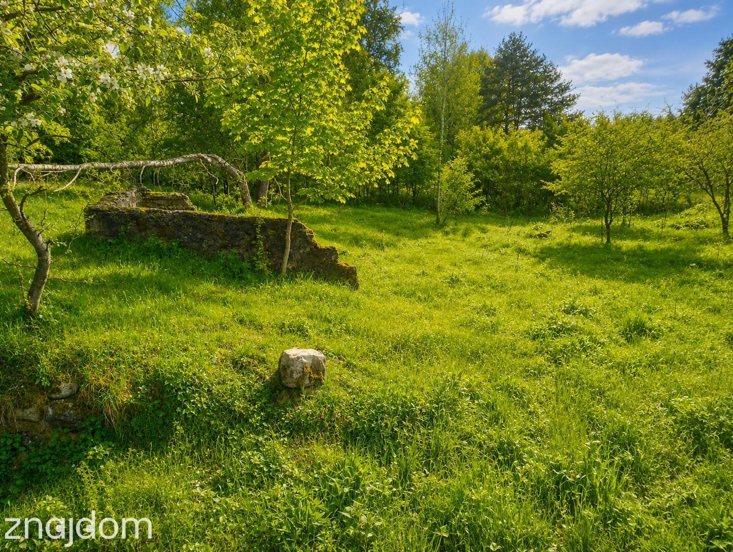 Działka 1700 m² | WZ na 2 Domy | Natura | Potencjał - zdjęcie 2