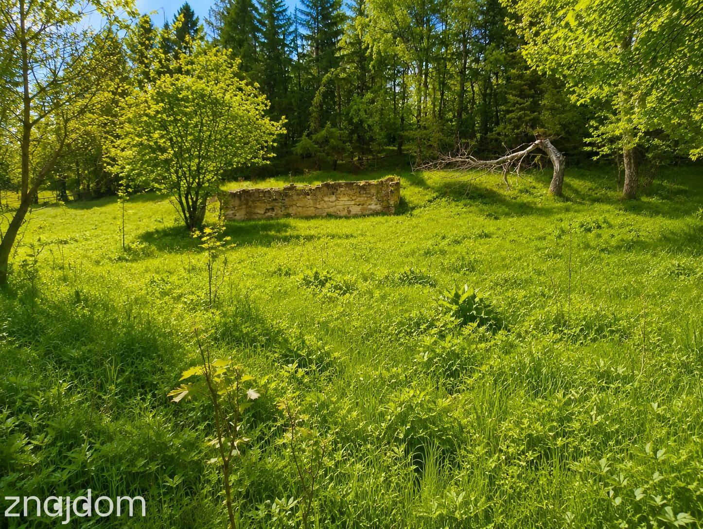 Działka 1700 m² | WZ na 2 Domy | Natura | Potencjał - zdjęcie 3