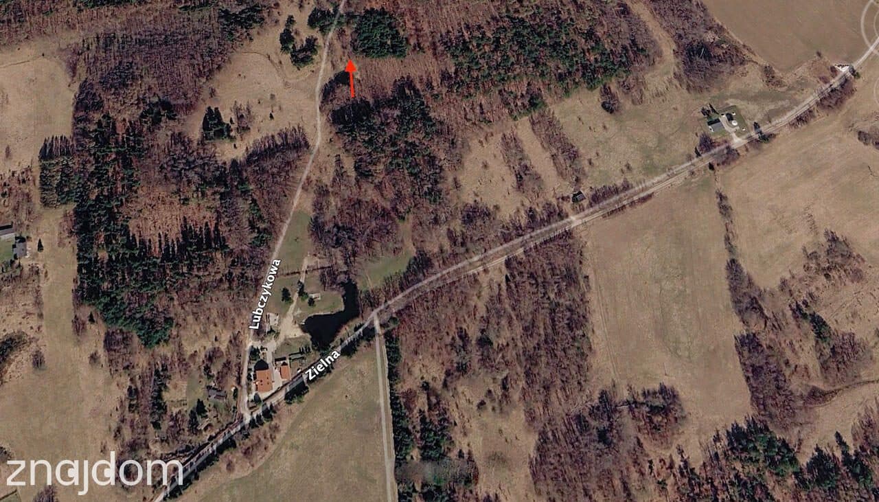 Działka 1700 m² | WZ na 2 Domy | Natura | Potencjał - zdjęcie 6