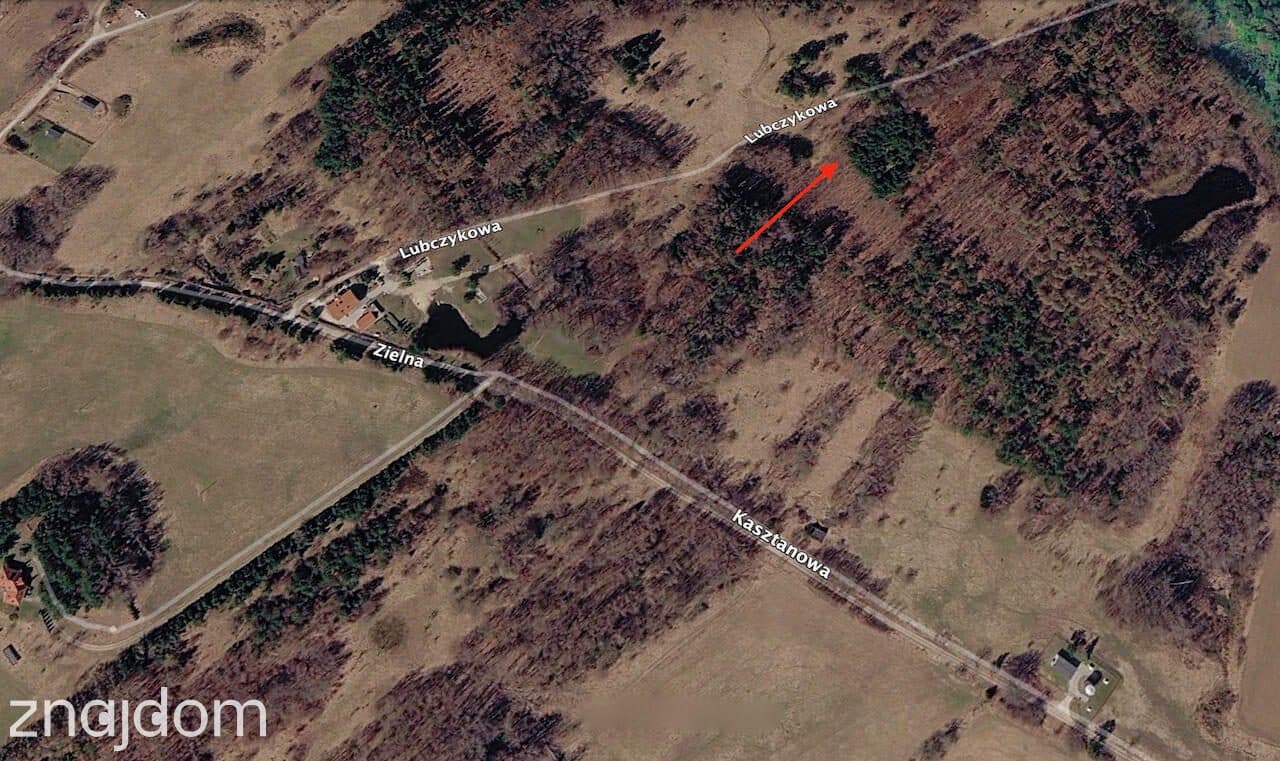 Działka 1700 m² | WZ na 2 Domy | Natura | Potencjał - zdjęcie 7