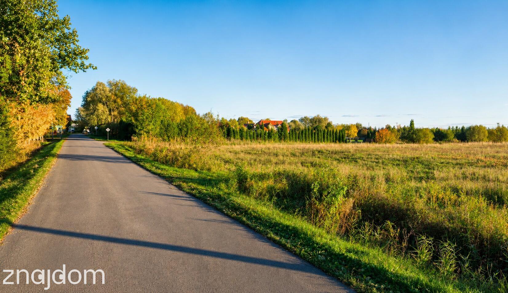 Inwestycyjny teren z WZ | 12 działek budowlanych | Helenowo - zdjęcie 4