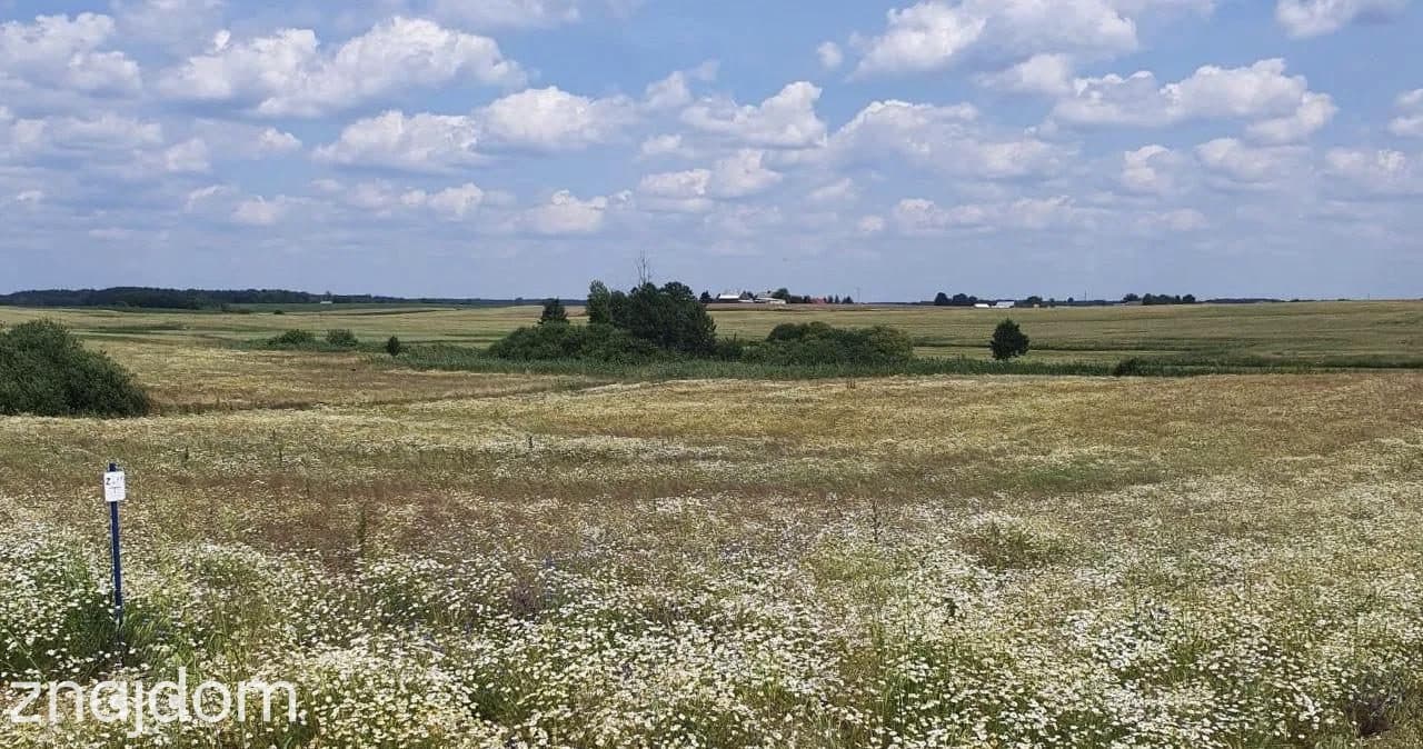 Działki budowlane w sercu Borów Tucholskich - zdjęcie 10