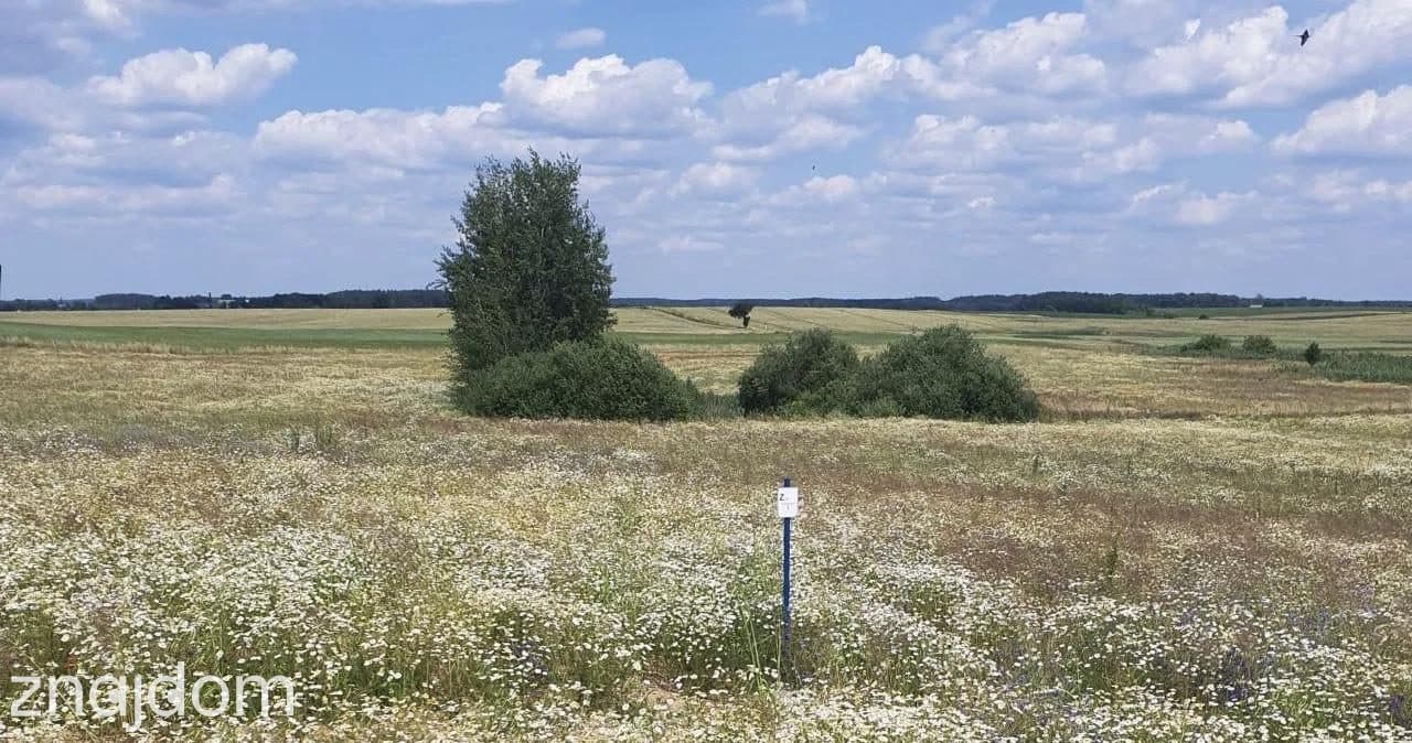Działki budowlane w sercu Borów Tucholskich - zdjęcie 6