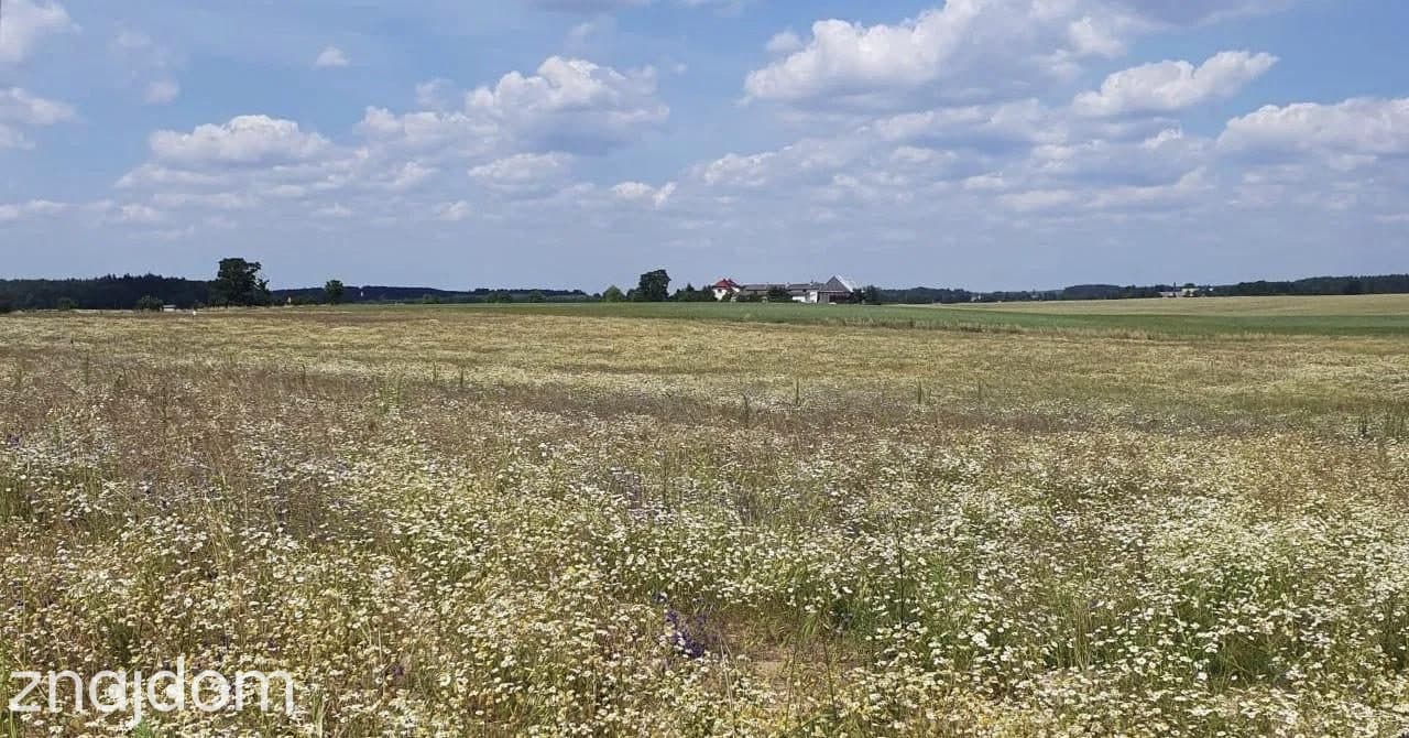Działki budowlane w sercu Borów Tucholskich - zdjęcie 9