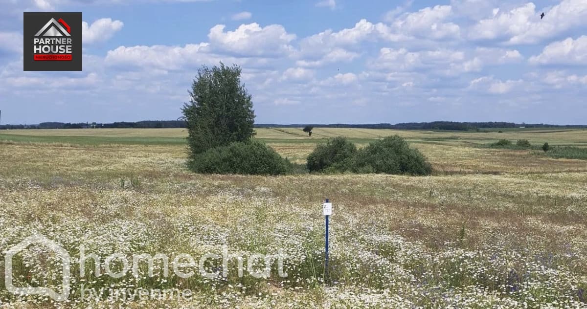 Działki budowlane w sercu Borów Tucholskich - zdjęcie 6