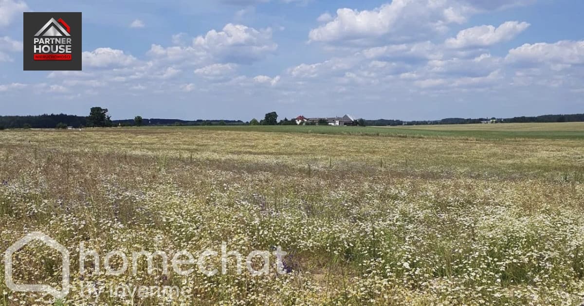 Działki budowlane w sercu Borów Tucholskich - zdjęcie 9