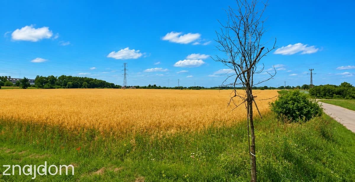 Działka, Grabiny-Zameczek - zdjęcie 3