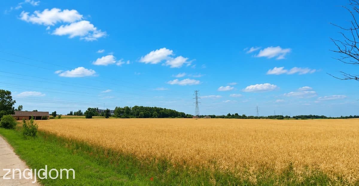Działka, Grabiny-Zameczek - zdjęcie 7