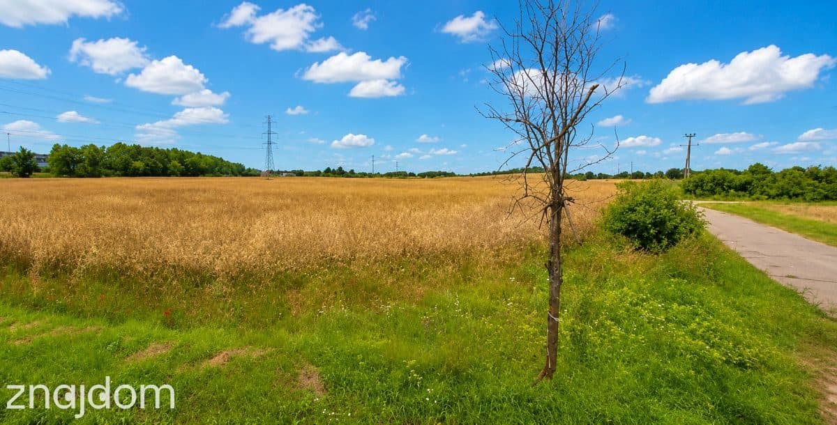 Działka, Grabiny-Zameczek - zdjęcie 4