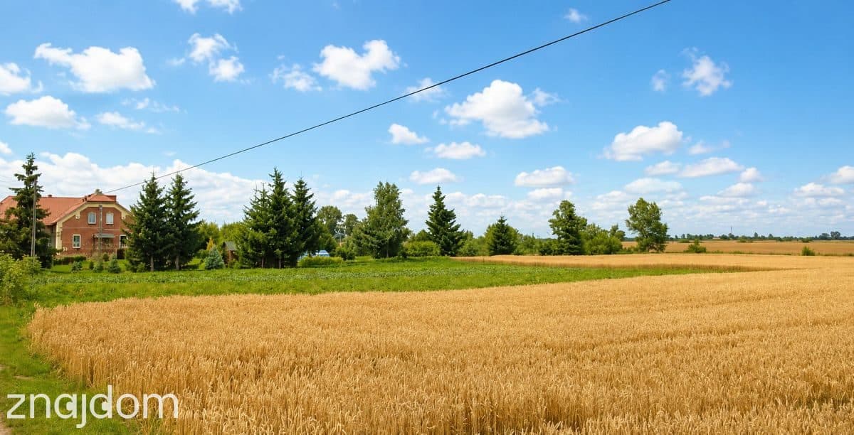 Działka, Grabiny-Zameczek - zdjęcie 5
