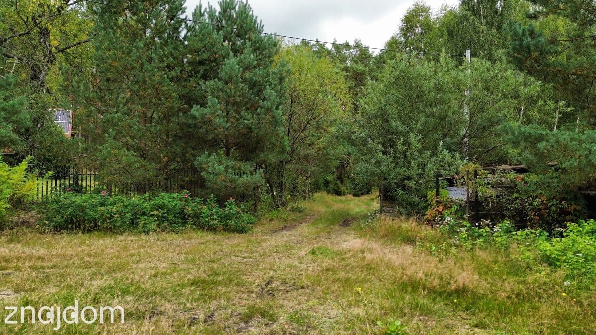 Działka, Tuszkowy - zdjęcie 20