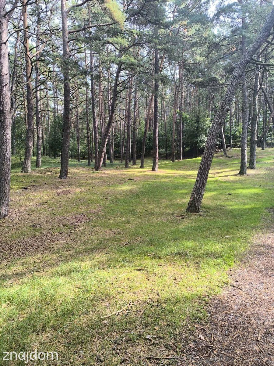 Sztutowo | 2 pokoje, balkon | podgrzewany basen - zdjęcie 9