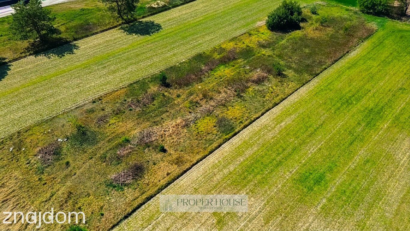 Prawiedniki: Wyjątkowe działki 1150 m² pod lasem – idealne wymiary! - zdjęcie 3