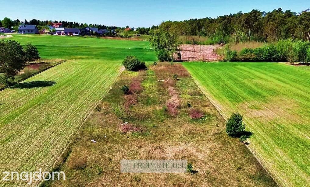 Prawiedniki: Wyjątkowe działki 1150 m² pod lasem – idealne wymiary! - zdjęcie 4
