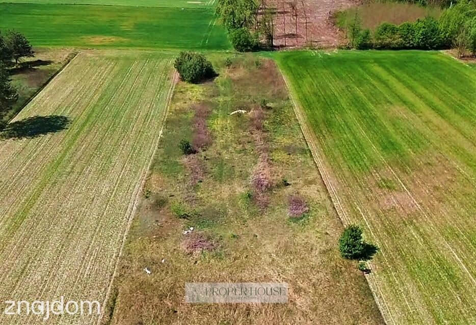 Prawiedniki: Wyjątkowe działki 1150 m² pod lasem – idealne wymiary! - zdjęcie 6