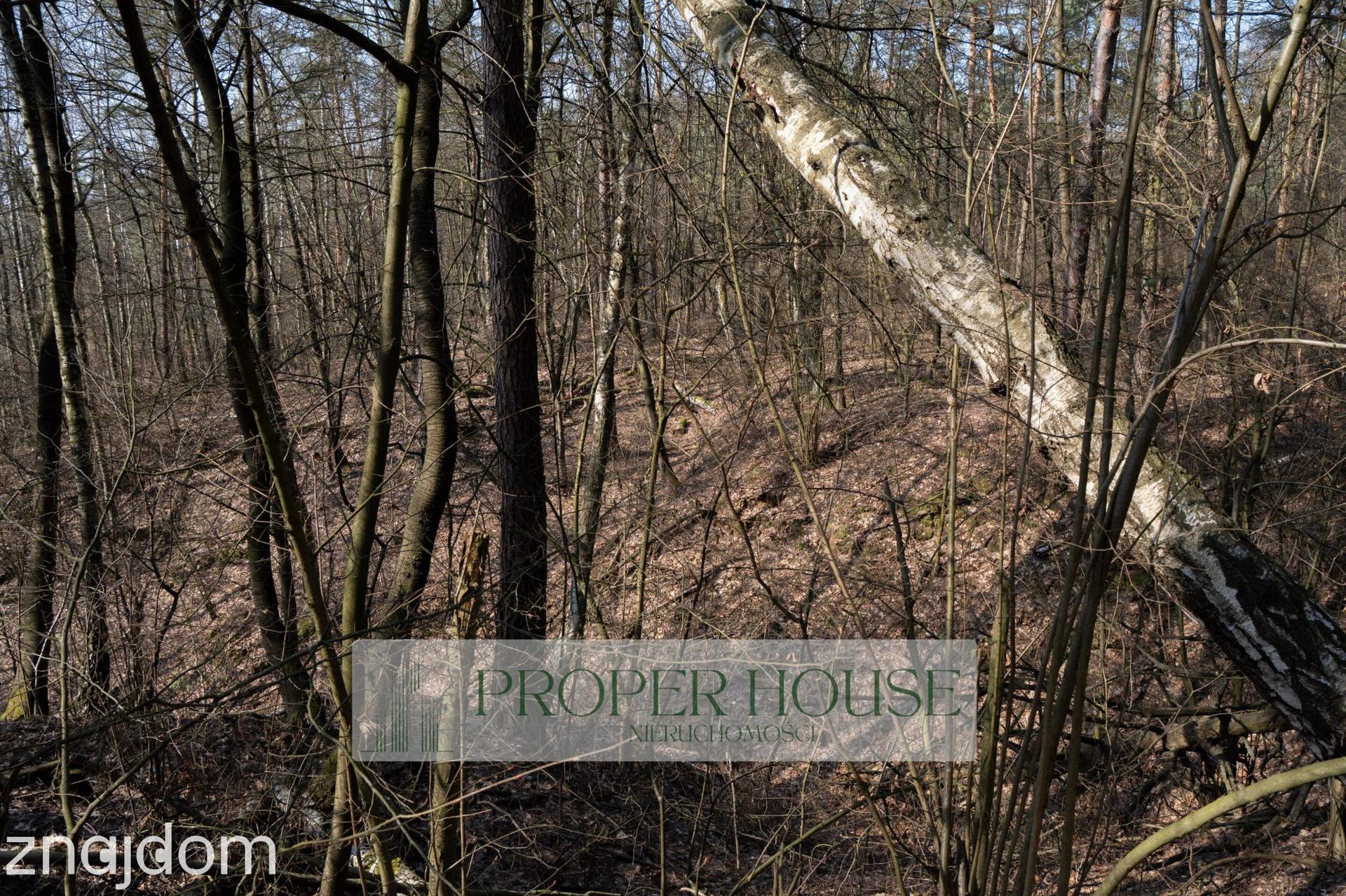 Kazimierski Park Krajobrazowy Piękna działka leśna - zdjęcie 4