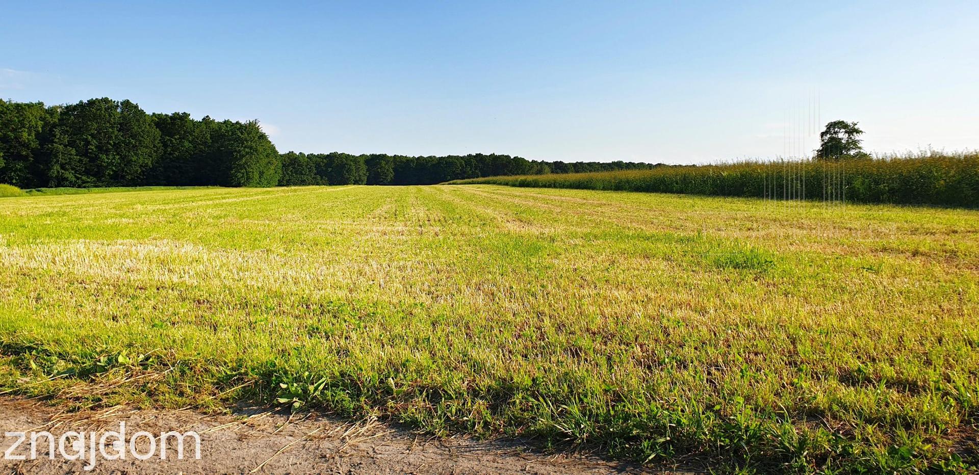 Inwestuj w przyszłość-postaw farmę fotowoltaiczną!