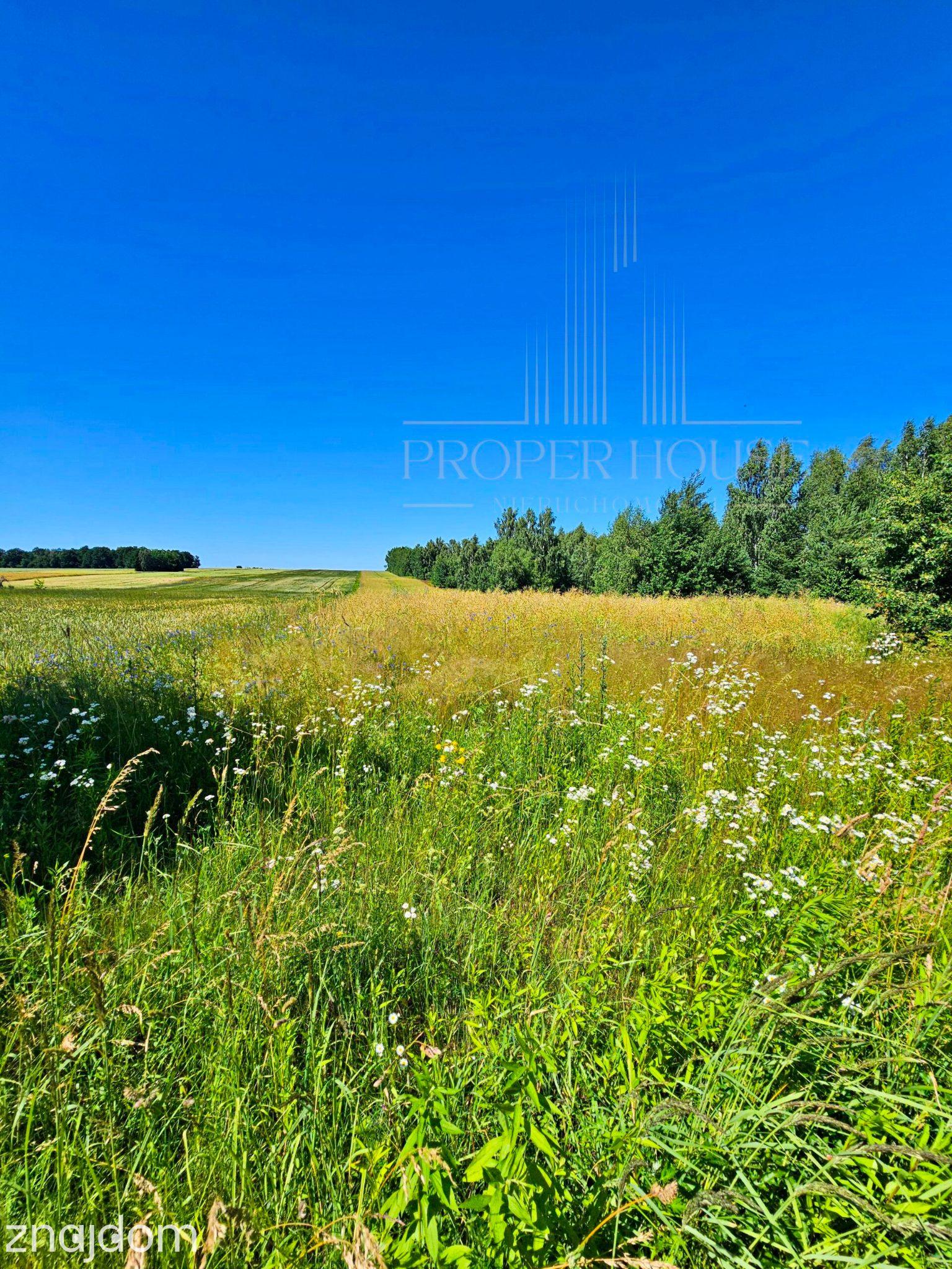 Inwestycja z Projektem GRATIS! Działka 20ar gotowa do zabudowy!