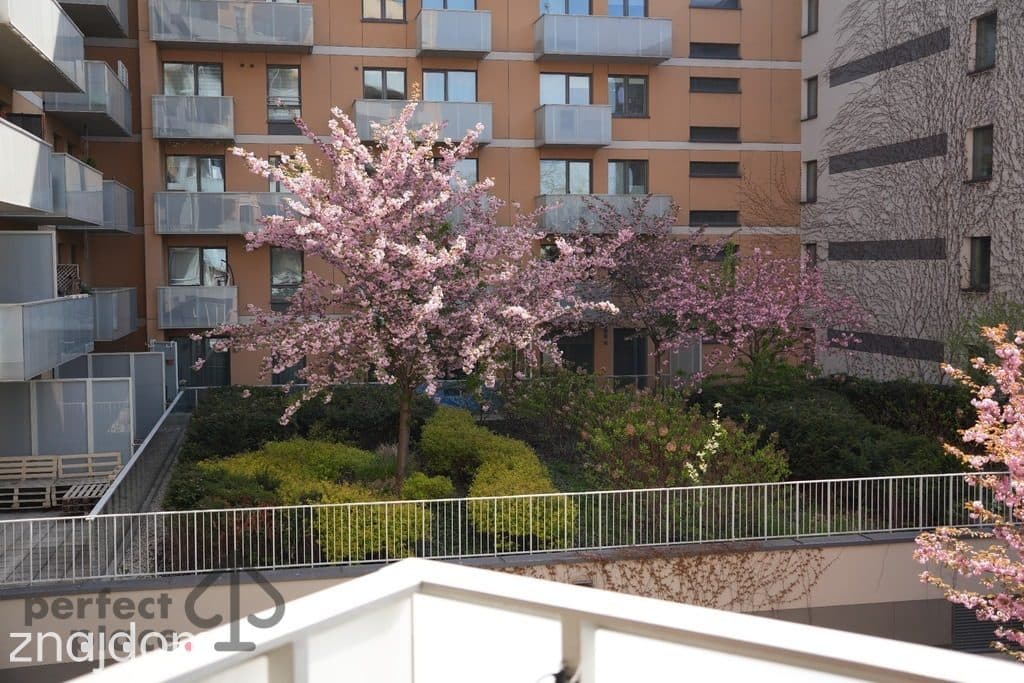 Kępa Mieszczańska_2pok_balkon_miejsce post. - zdjęcie 20