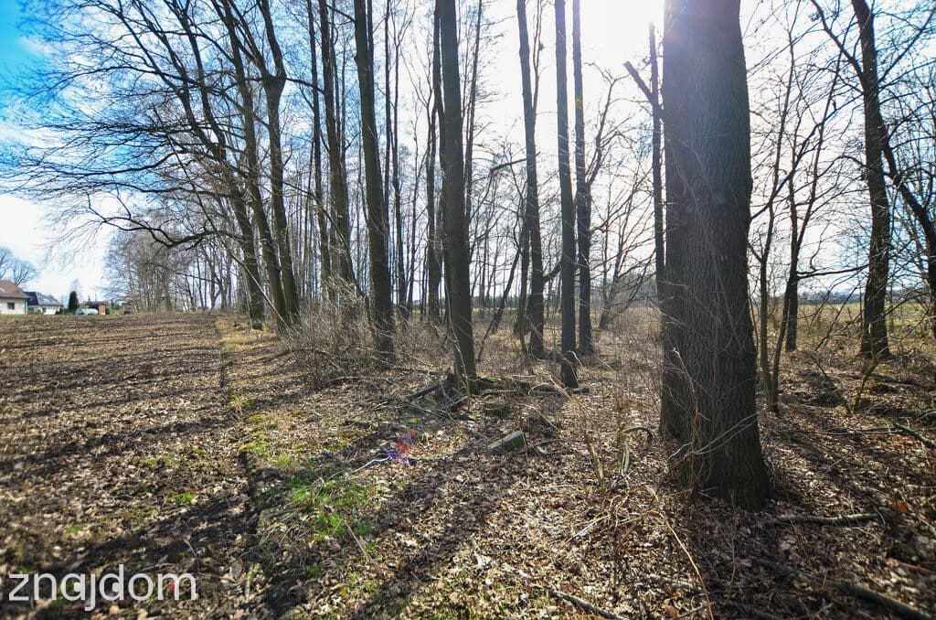 Strumień_Zbytków_działka budowlana_5253m - zdjęcie 3