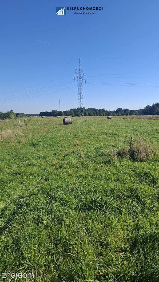 działki 12ar | Jędrzychów | gm. Polkowice - zdjęcie 7