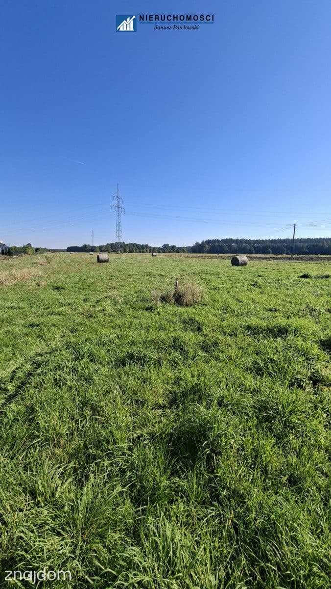 działki 12ar | Jędrzychów | gm. Polkowice - zdjęcie 8