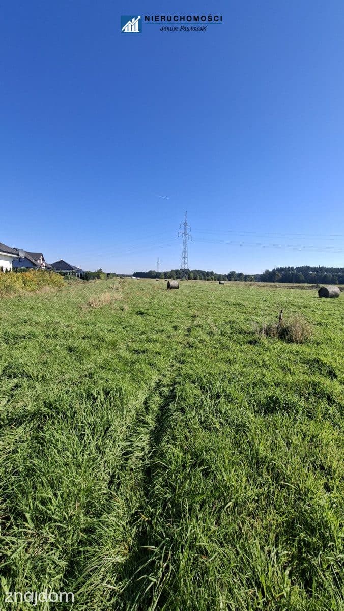 działki 12ar | Jędrzychów | gm. Polkowice - zdjęcie 9