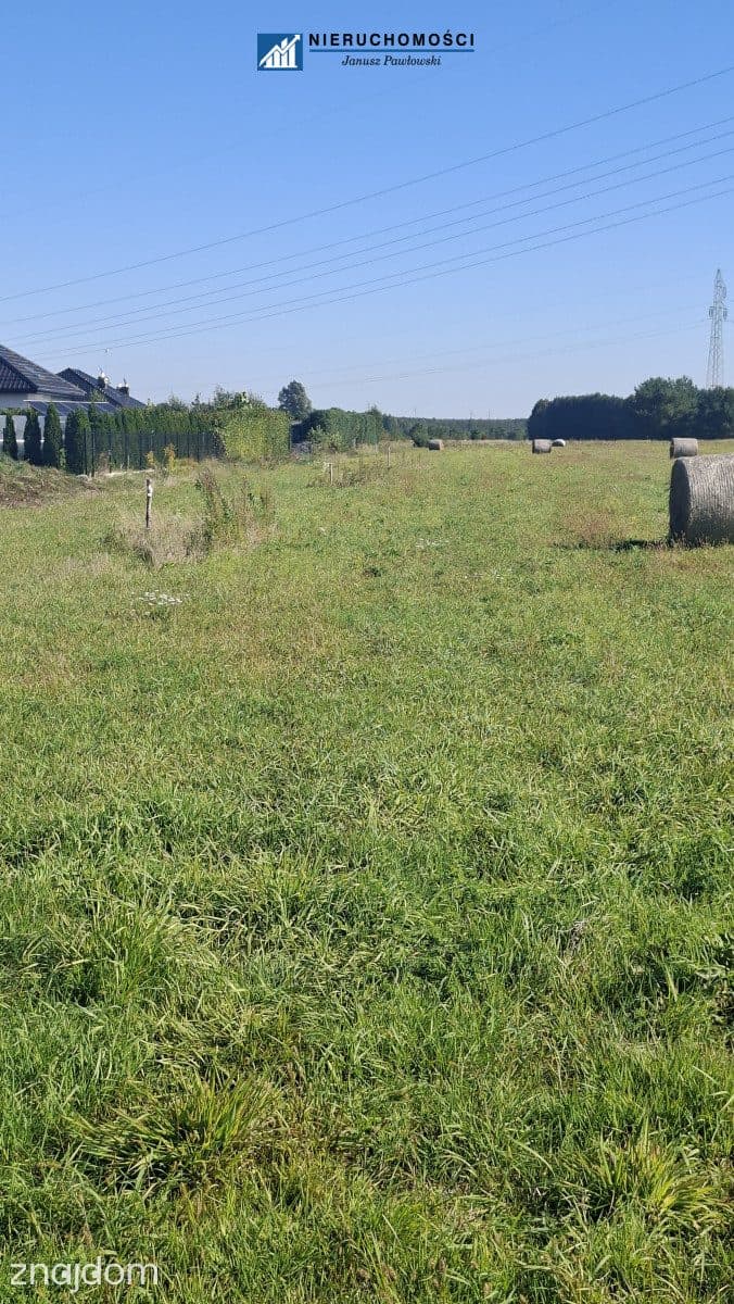 działki 12ar | Jędrzychów | gm. Polkowice - zdjęcie 10