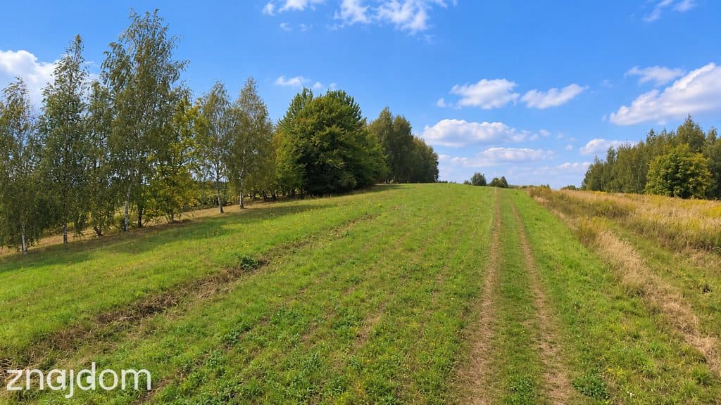 Działka 9,73 ar | WZ | ul. Dębicka Rzeszów - zdjęcie 4