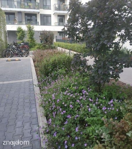 4-pokojowe mieszkanie na Mokotowie - zdjęcie 8