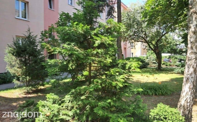 2-pokojowe mieszkanie na Pradze Południe - zdjęcie 8