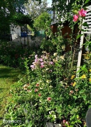 3-pokojowe mieszkanie na Pradze-Południe - zdjęcie 15