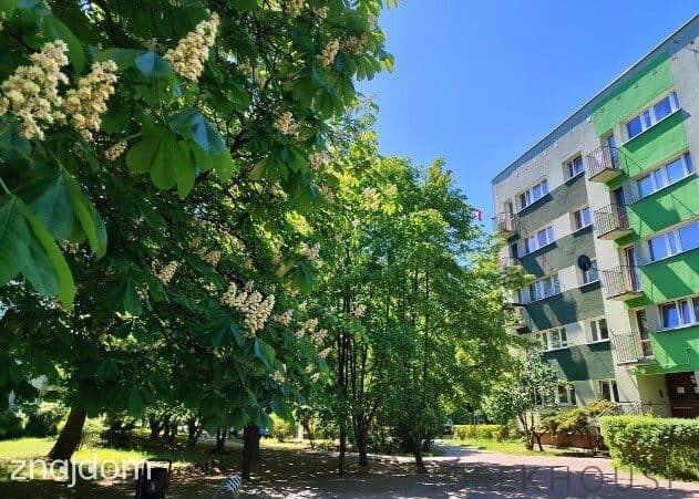 3-pokojowe mieszkanie na Ochocie - zdjęcie 13