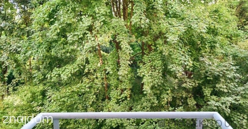 2-pokojowe mieszkanie na Pradze-Południe - zdjęcie 11