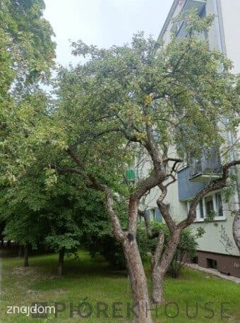 2-pokojowe mieszkanie na Ochocie - zdjęcie 12