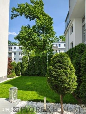 3-pokojowe mieszkanie w dzielnicy Wesoła - zdjęcie 14