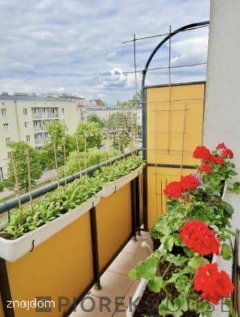 2-pokojowe mieszkanie na Pradze-Południe - zdjęcie 12