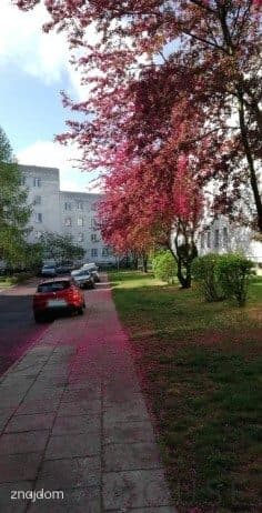 3-pokojowe mieszkanie na Ursynowie - zdjęcie 15