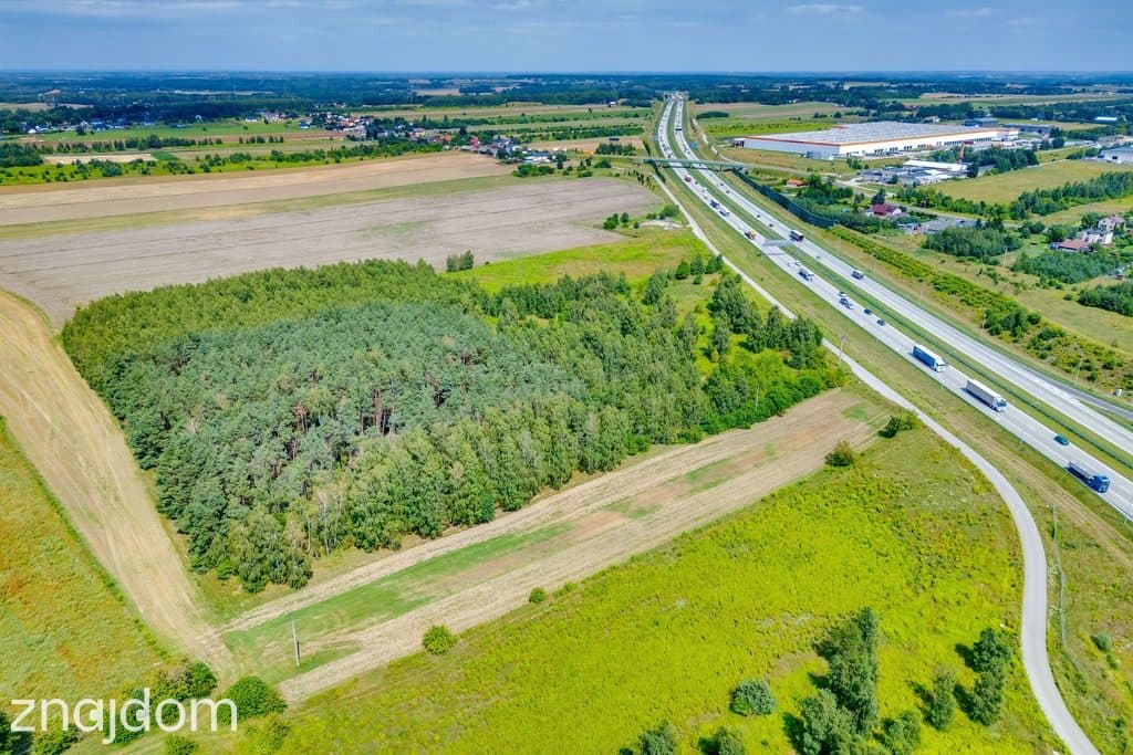 Działka usługowa przy samym zjeździe A1 - zdjęcie 4